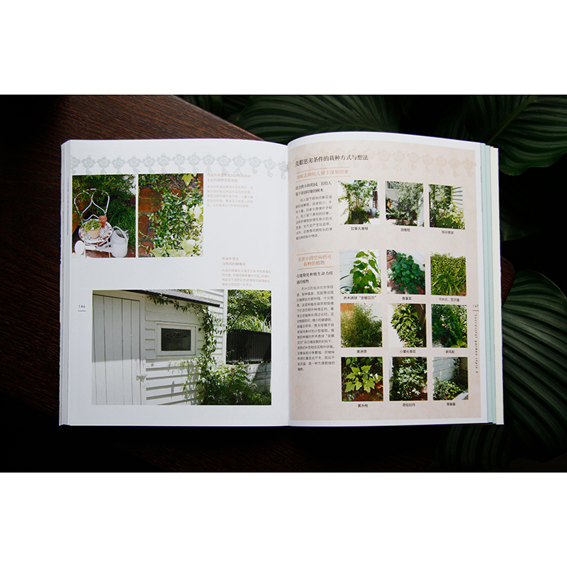 日本知名園藝師誠意之作:文藝感花園+復古風花園(全兩冊) 日本知名園藝師誠意之作:文藝感花園+復古風花園(全兩冊)