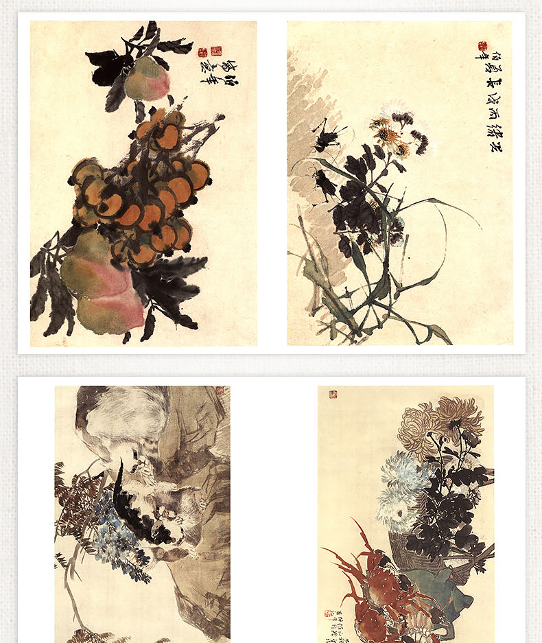 详情11.jpg