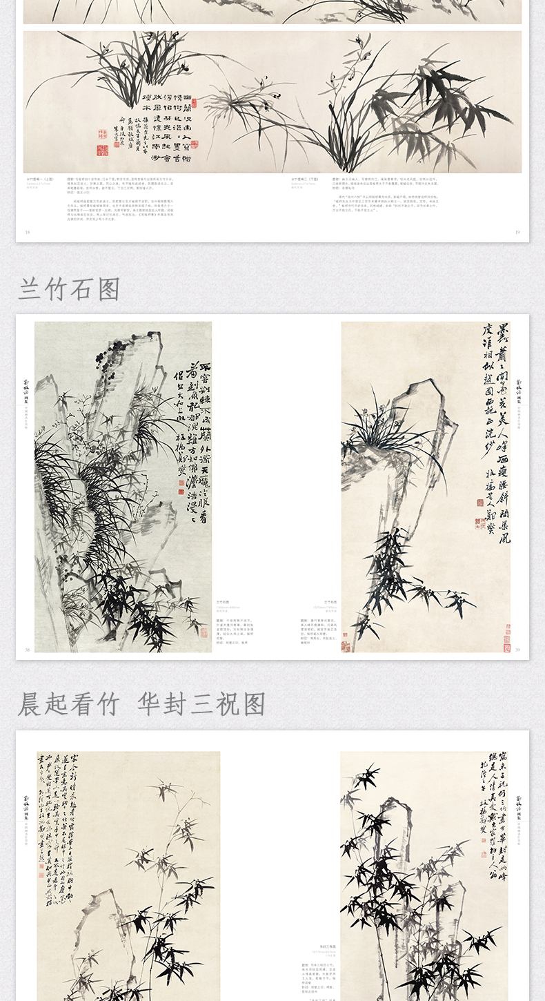 详情12.jpg