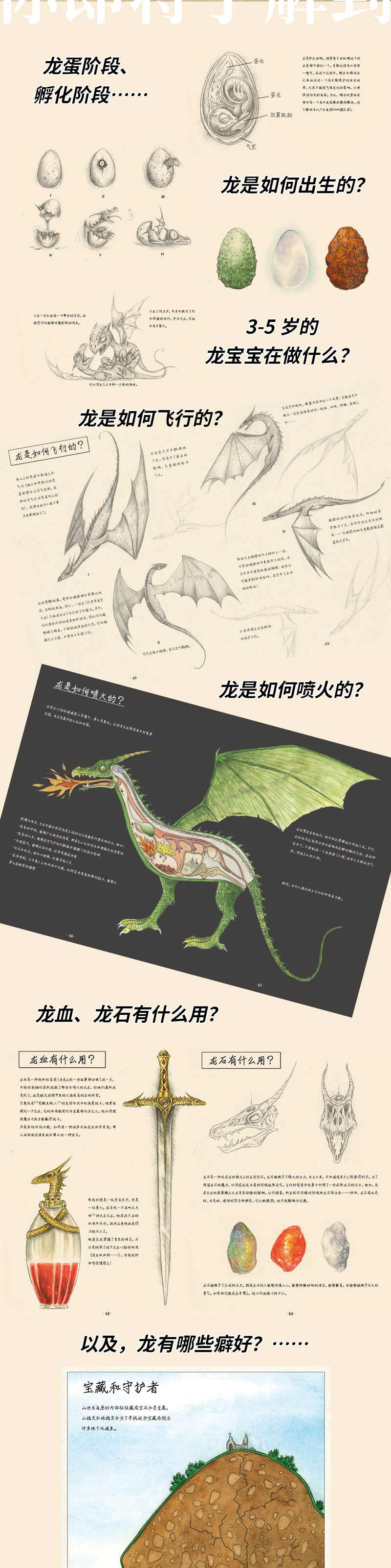 详情3.jpg