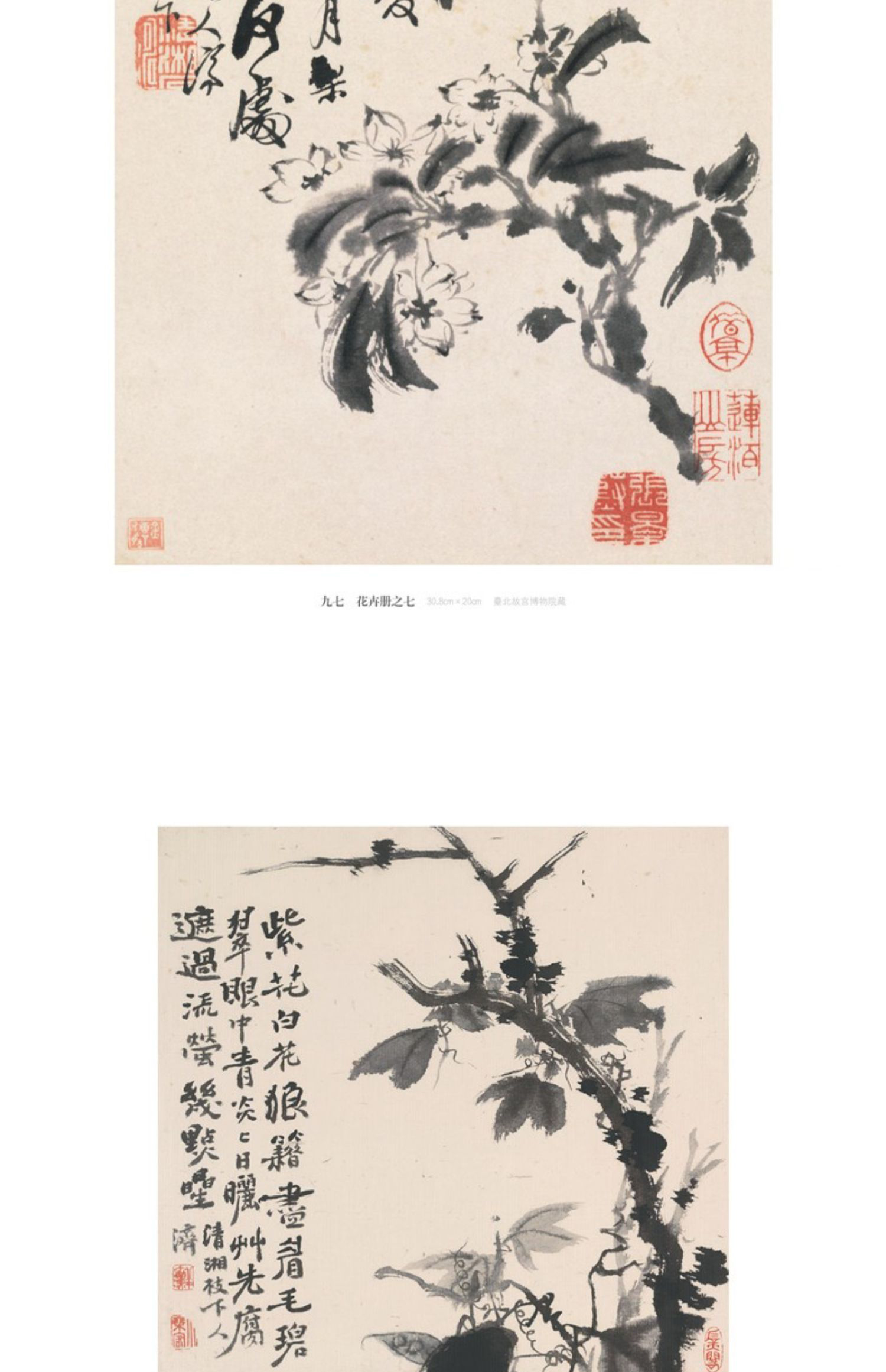 详情-14.jpg