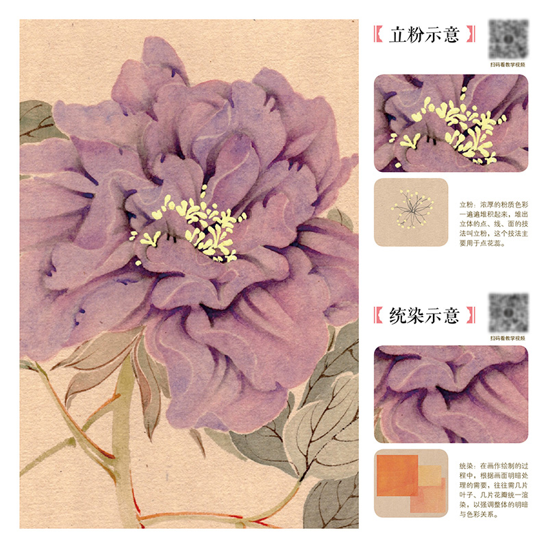 详情-04.jpg