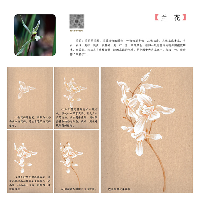 详情-05.jpg