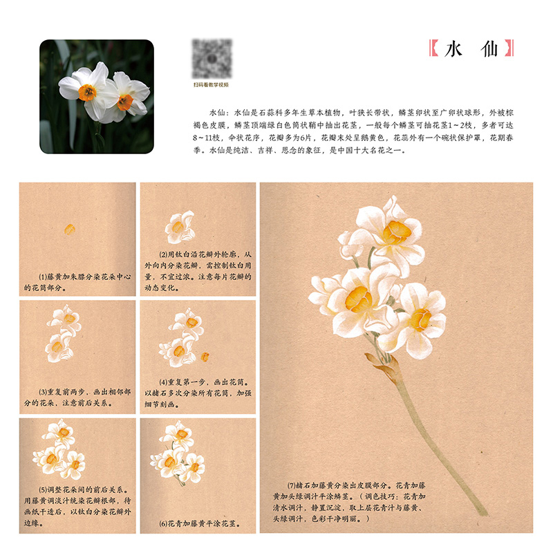 详情-06.jpg