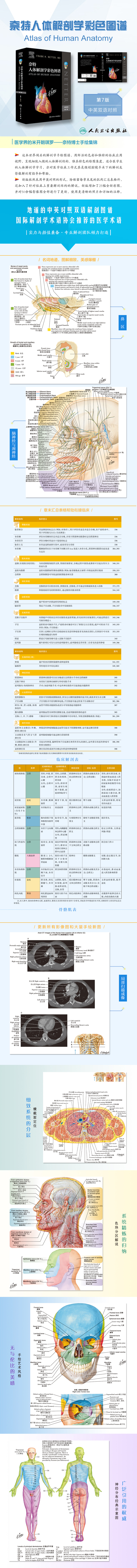 详情1.jpg