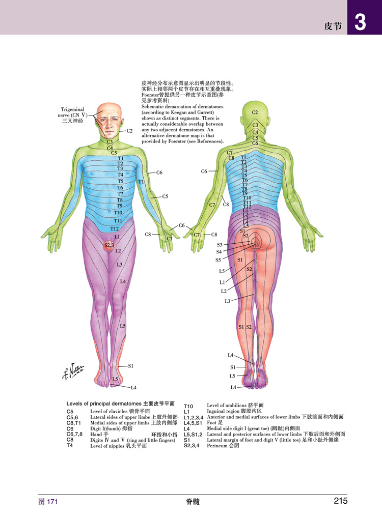 书摘5.jpg