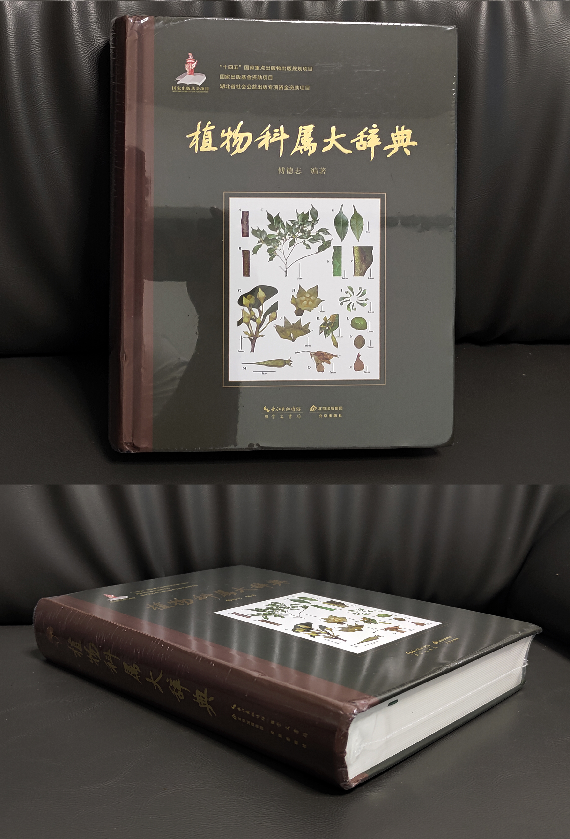 实拍1.jpg