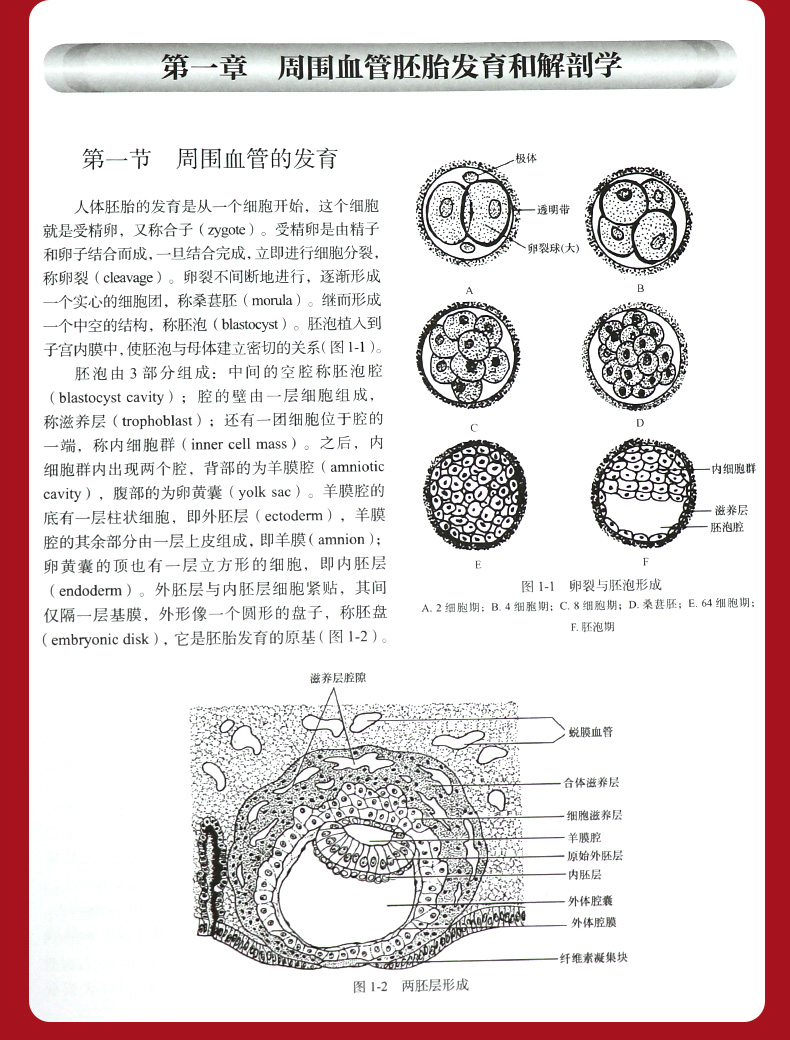 详情-10.jpg