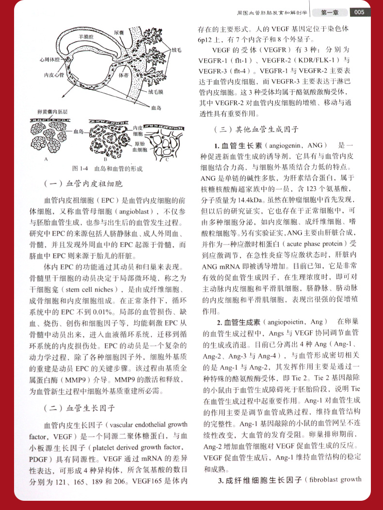 详情-11.jpg