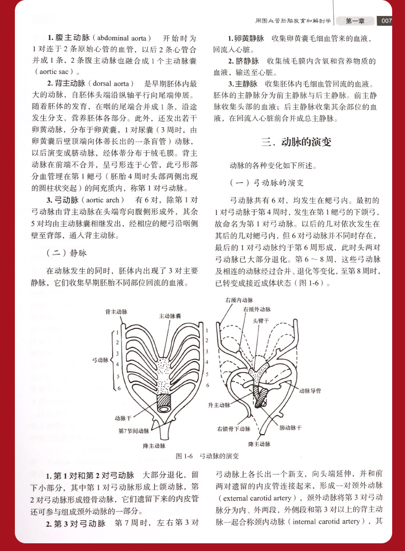 详情-12.jpg