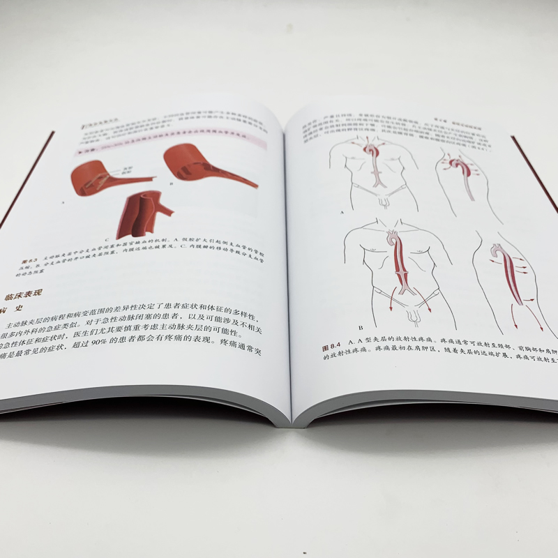 详情6.jpg