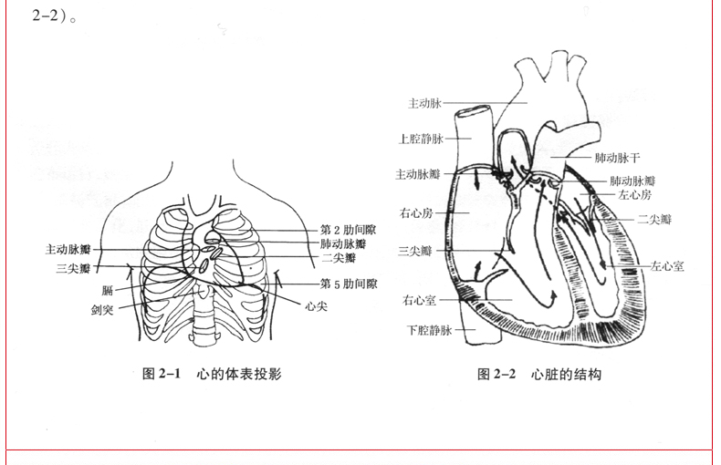 详情34.jpg