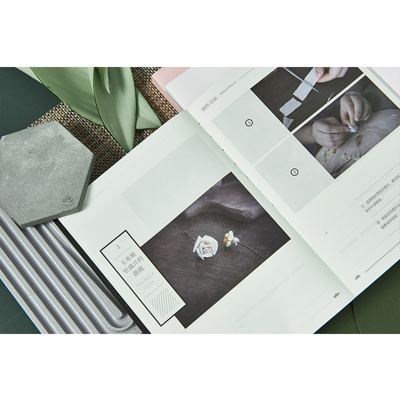 《不如做植物》1+2+3 《不如做植物》1+2+3