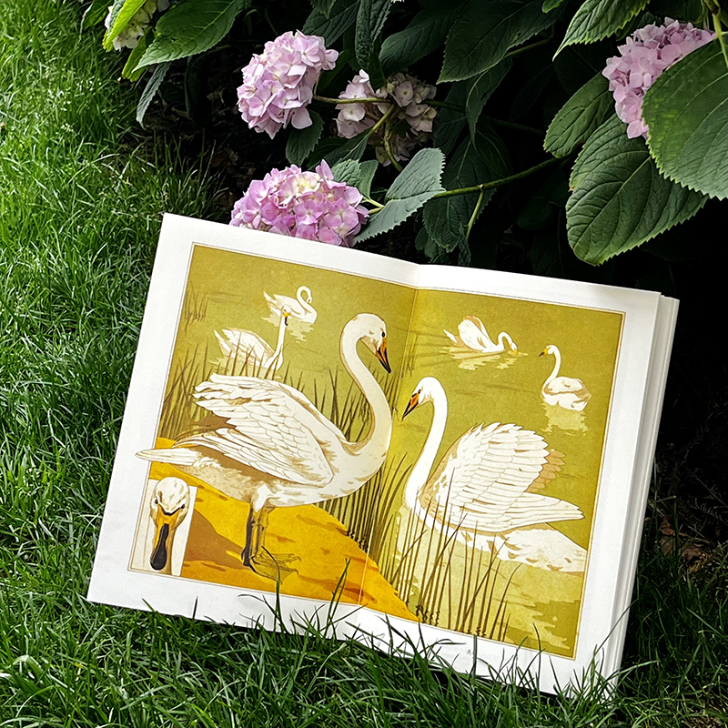 復古藝術館【自然而美:新藝術裝飾設計圖錄+萬物有文:新藝術植物裝飾】全兩冊 復古藝術館【自然而美:新藝術裝飾設計圖錄+萬物有文:新藝術植物裝飾】全兩冊