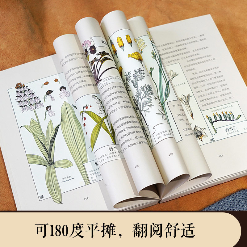 復古藝術館【自然而美:新藝術裝飾設計圖錄+萬物有文:新藝術植物裝飾】全兩冊 復古藝術館【自然而美:新藝術裝飾設計圖錄+萬物有文:新藝術植物裝飾】全兩冊