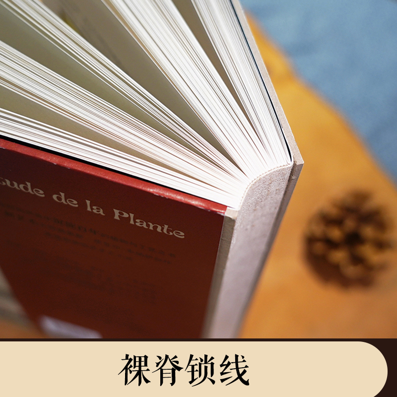復古藝術館【自然而美:新藝術裝飾設計圖錄+萬物有文:新藝術植物裝飾】全兩冊 復古藝術館【自然而美:新藝術裝飾設計圖錄+萬物有文:新藝術植物裝飾】全兩冊