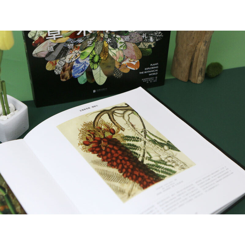 草木之形:植物藝術巡禮 草木之形:植物藝術巡禮