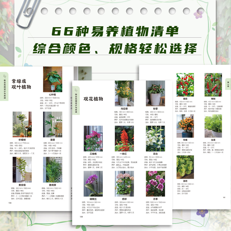 造一座小花園+陽台花園+小空間花園+我的迷你花園(全四冊) 造一座小花園+陽台花園+小空間花園+我的迷你花園(全四冊)