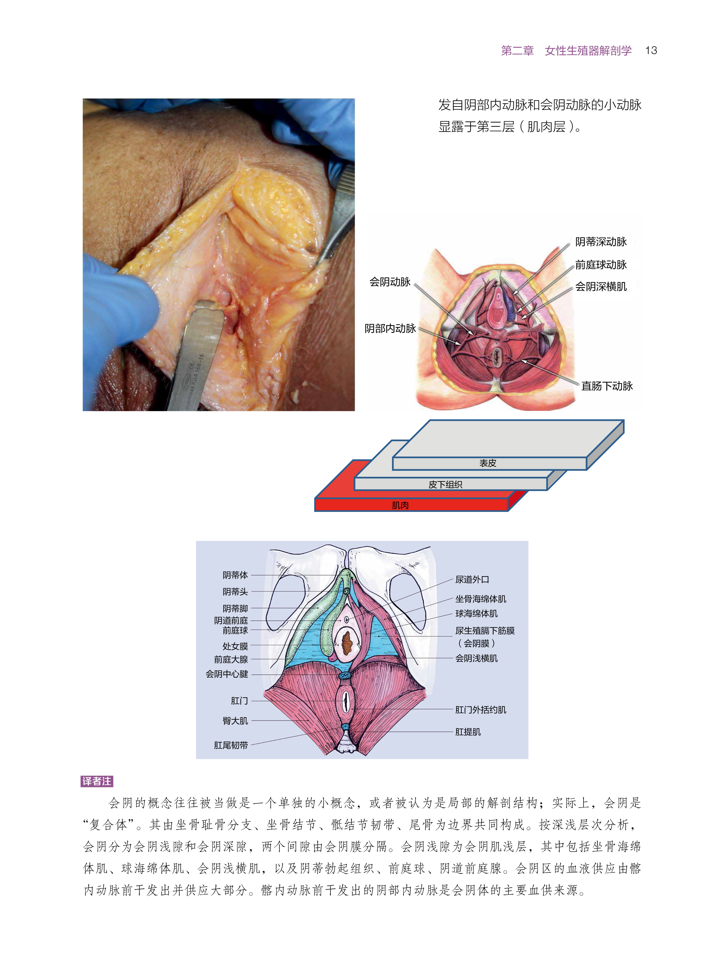 在线4.jpg
