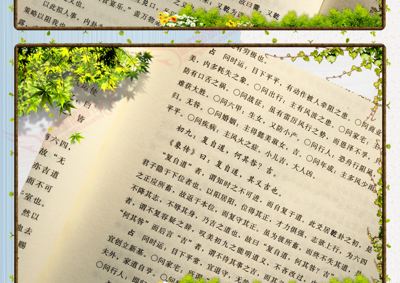 详情6.jpg