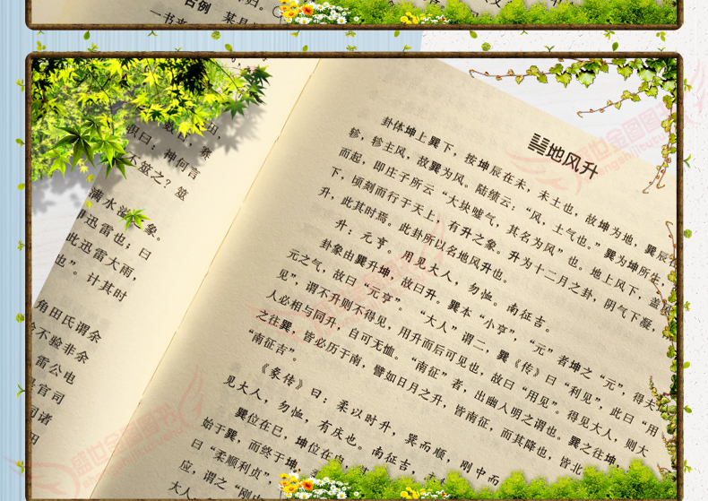 详情7.jpg
