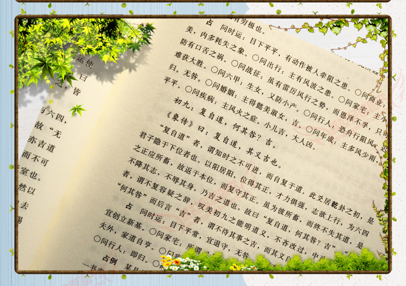 详情8.jpg