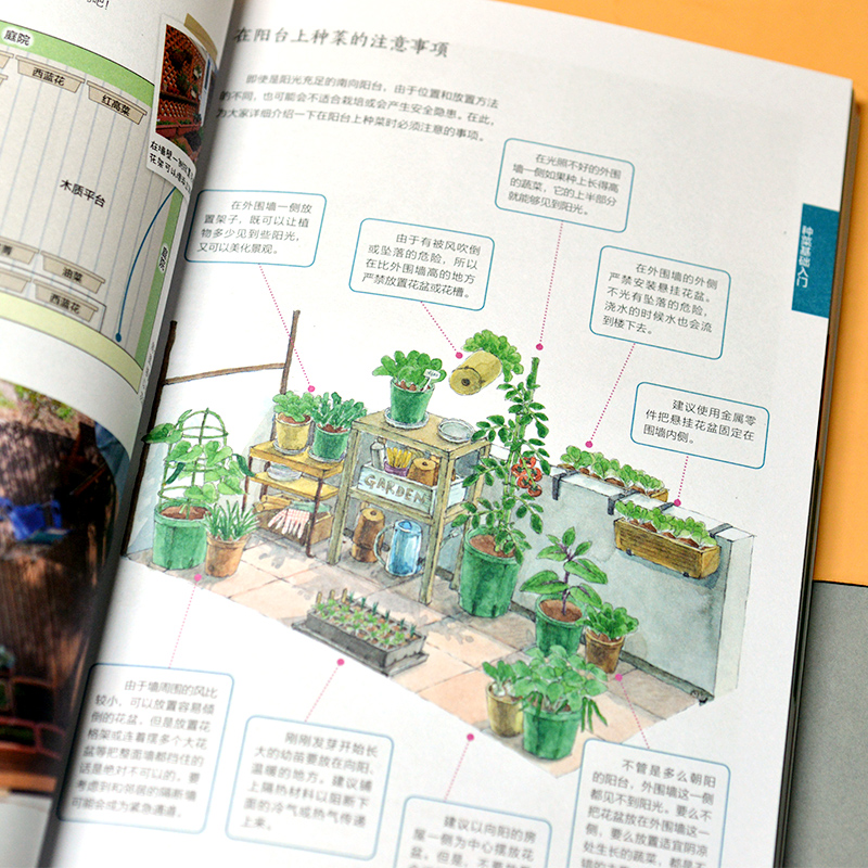 圖解陽台種菜一學就會+全新垂釣知識圖鑑（全兩冊）