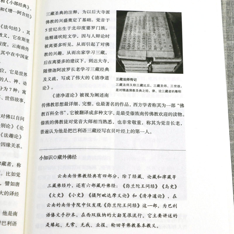 西域佛教史+藏傳佛教史+南傳佛教史（全三冊）