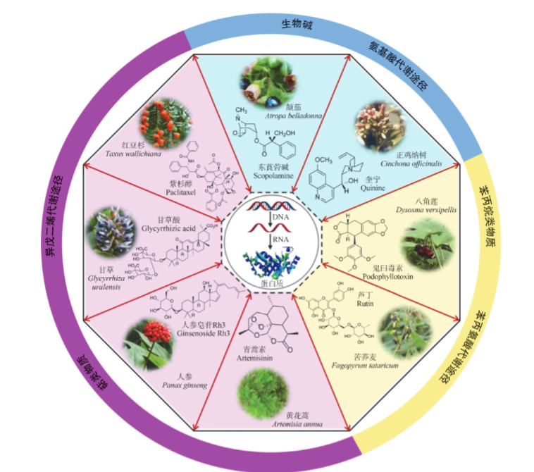 1695041211156253.jpg 详情2.jpg