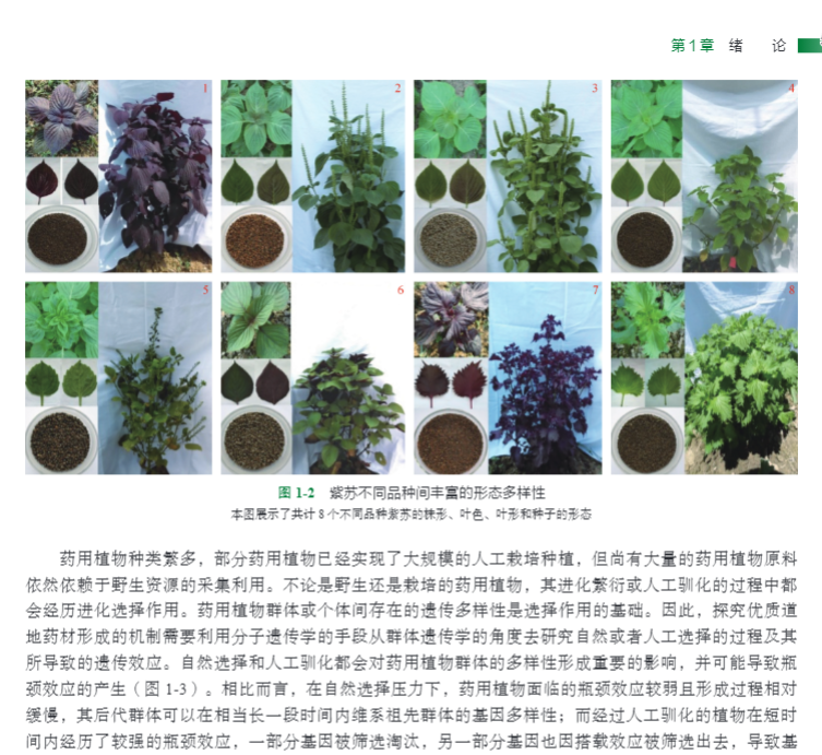 1695041223812703.jpg 详情5.jpg