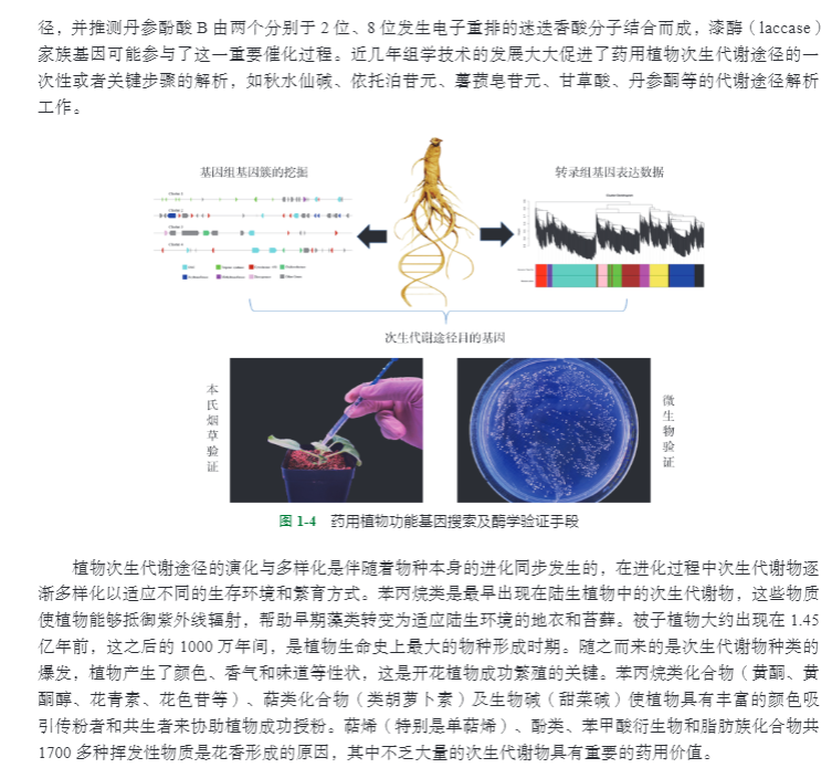 1695041234453318.jpg 详情8.jpg