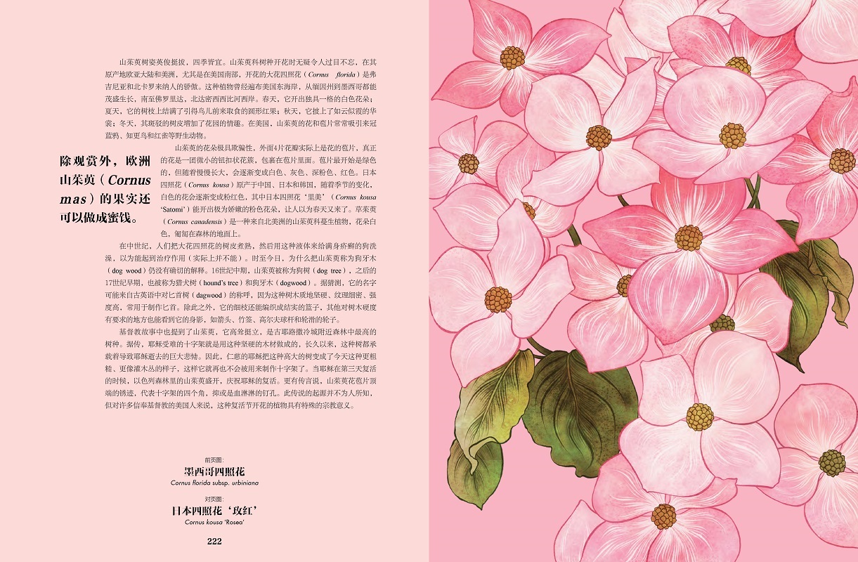 摘5.jpg
