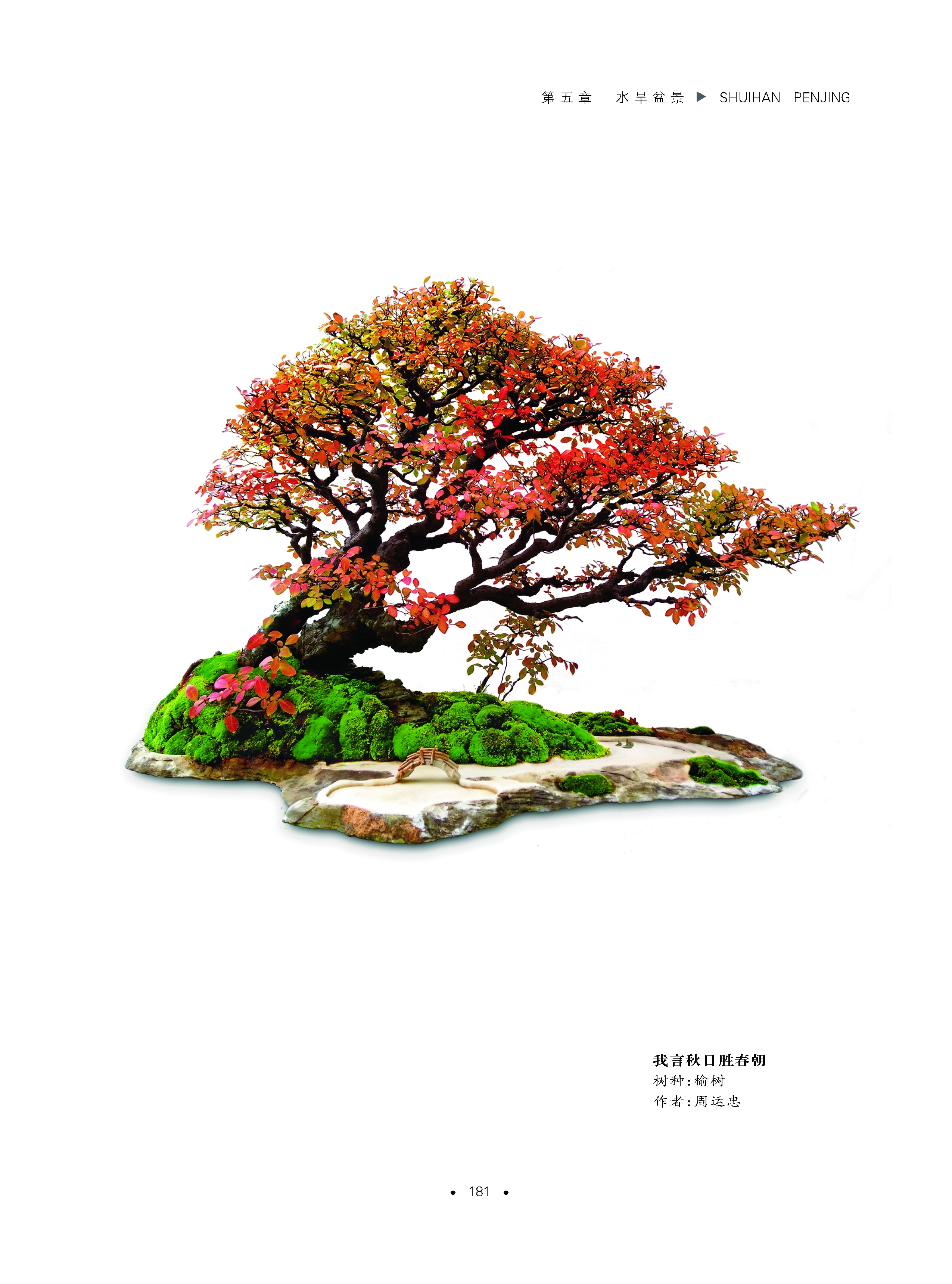 1698229382810306.jpg 详情7、.jpg