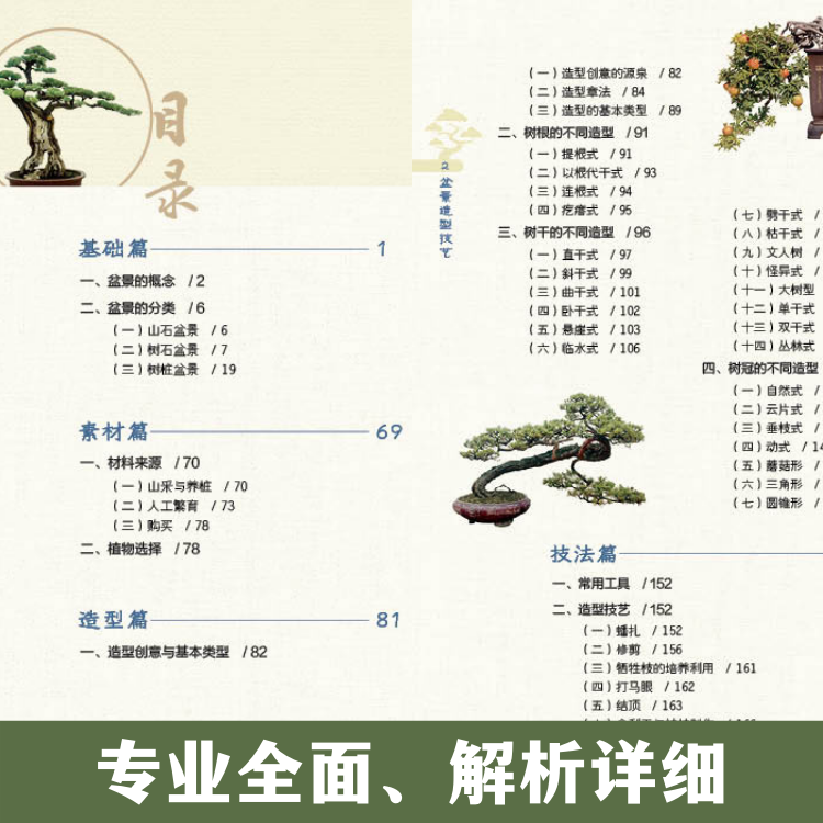 1698230878501863.jpg 盆景4.jpg