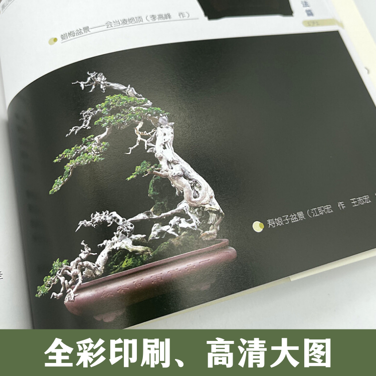 1698230884990262.jpg 盆景5.jpg