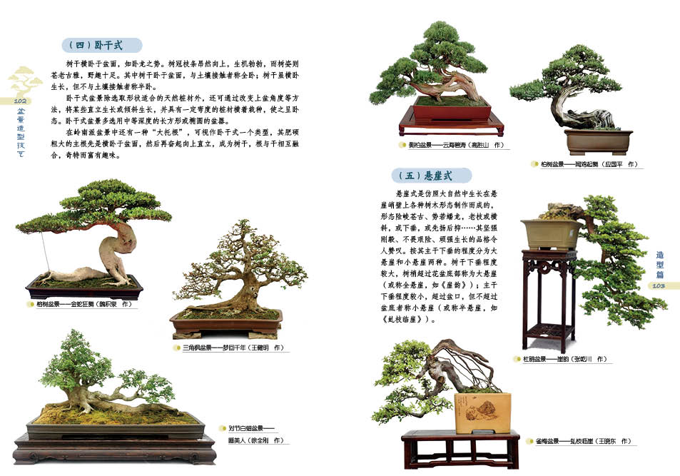 1698230897404917.jpg 盆景详情2.jpg