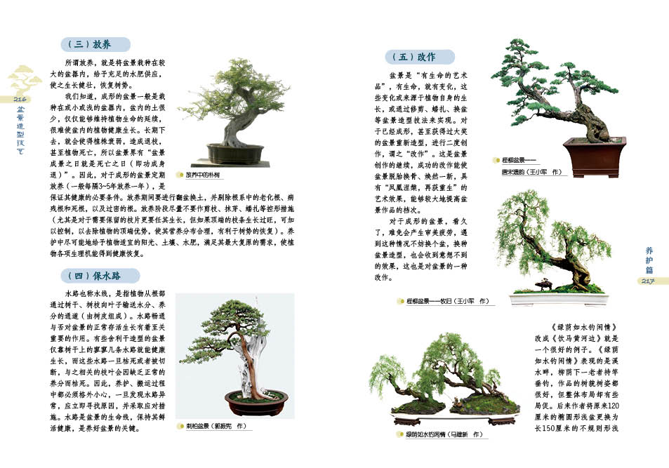 1698230904545782.jpg 盆景详情4.jpg