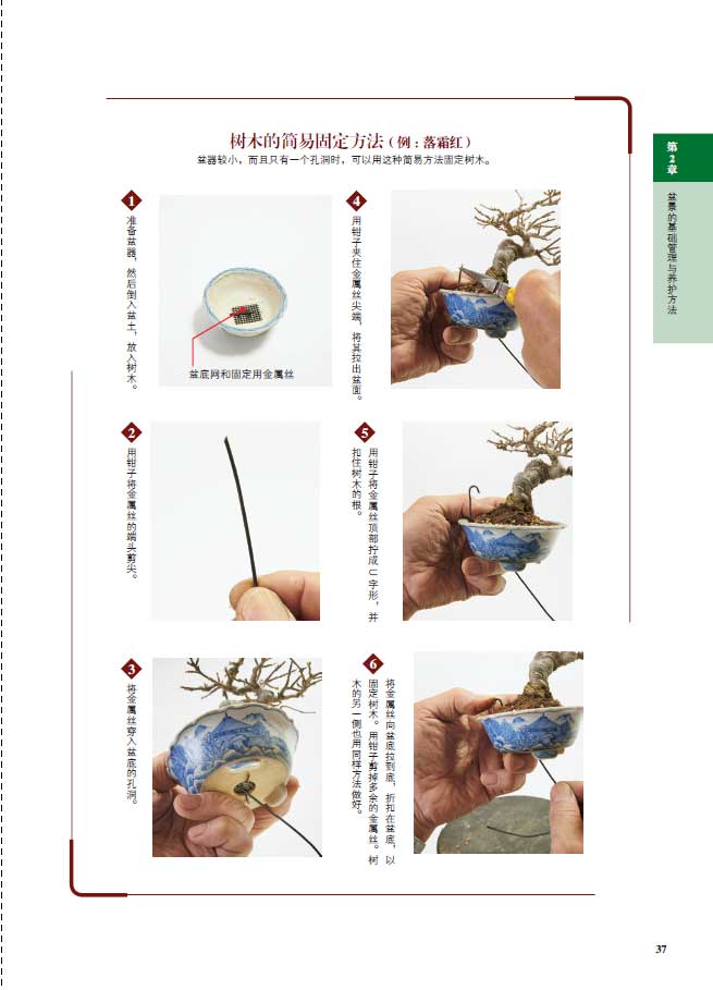 1698231118457812.jpg 树木详情4.jpg