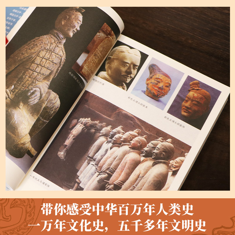 岳南：考古中國（全11冊）