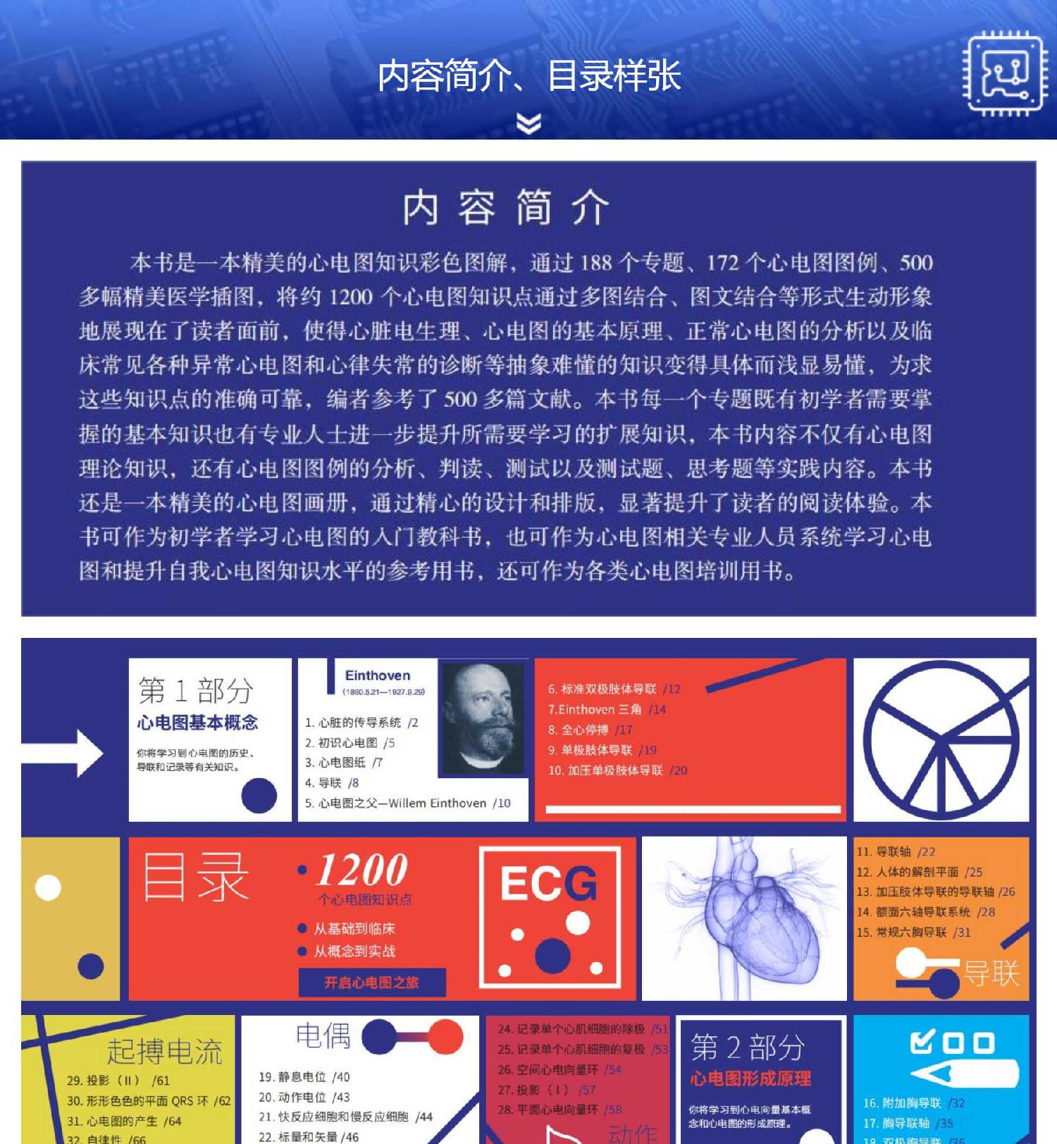 详情-02.jpg