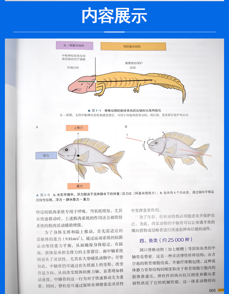 书摘1.jpg