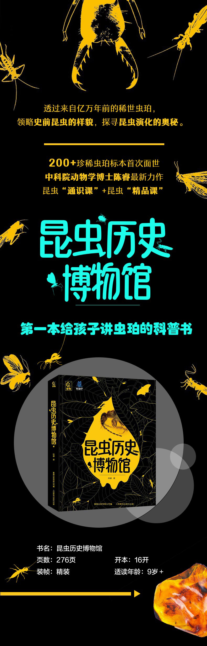 详情2.jpg