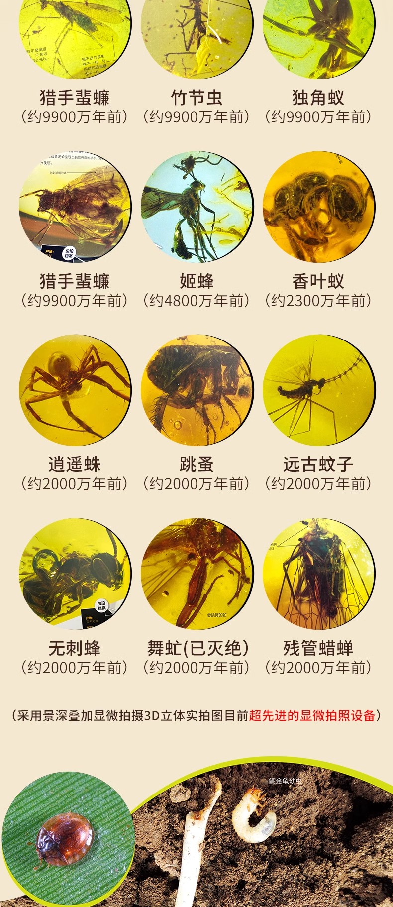 详情8.jpg