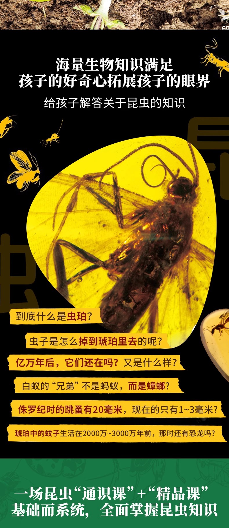 详情9.jpg