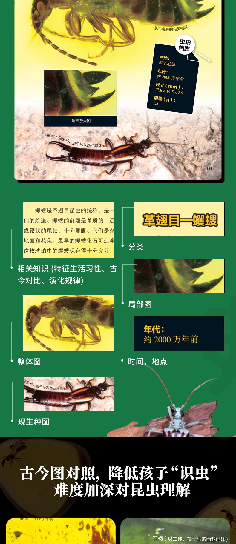 详情11.jpg