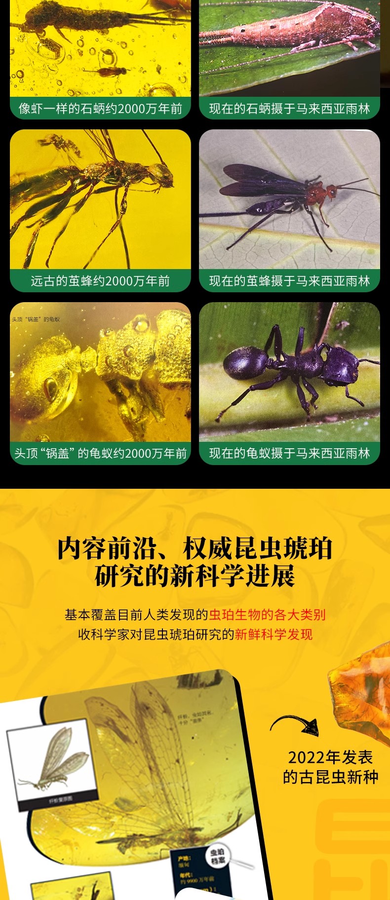 详情12.jpg