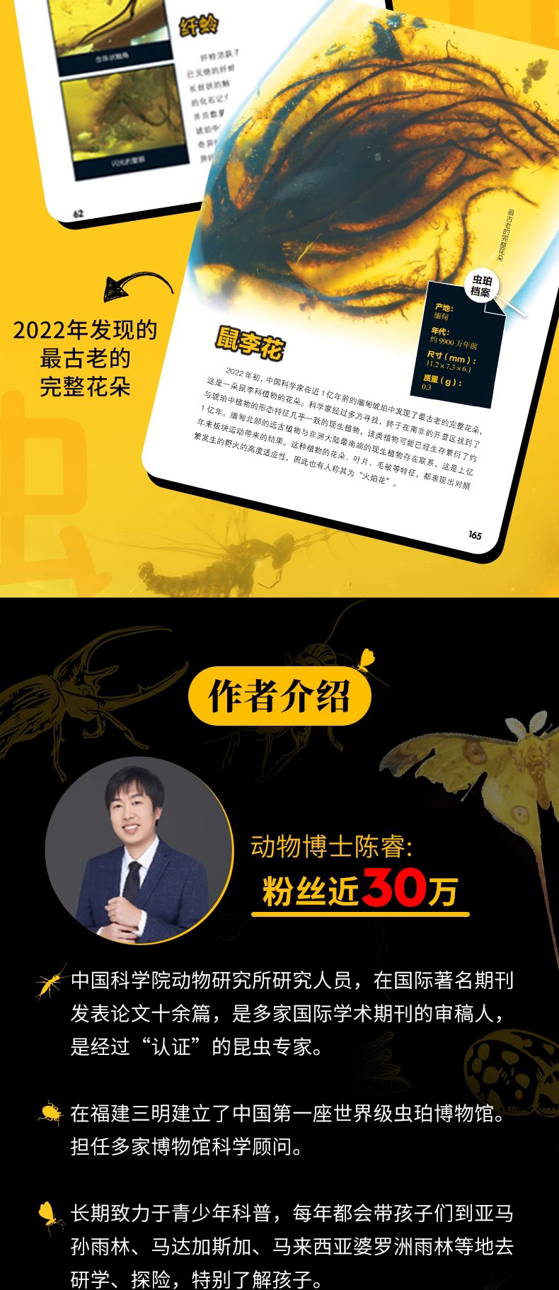 详情13.jpg