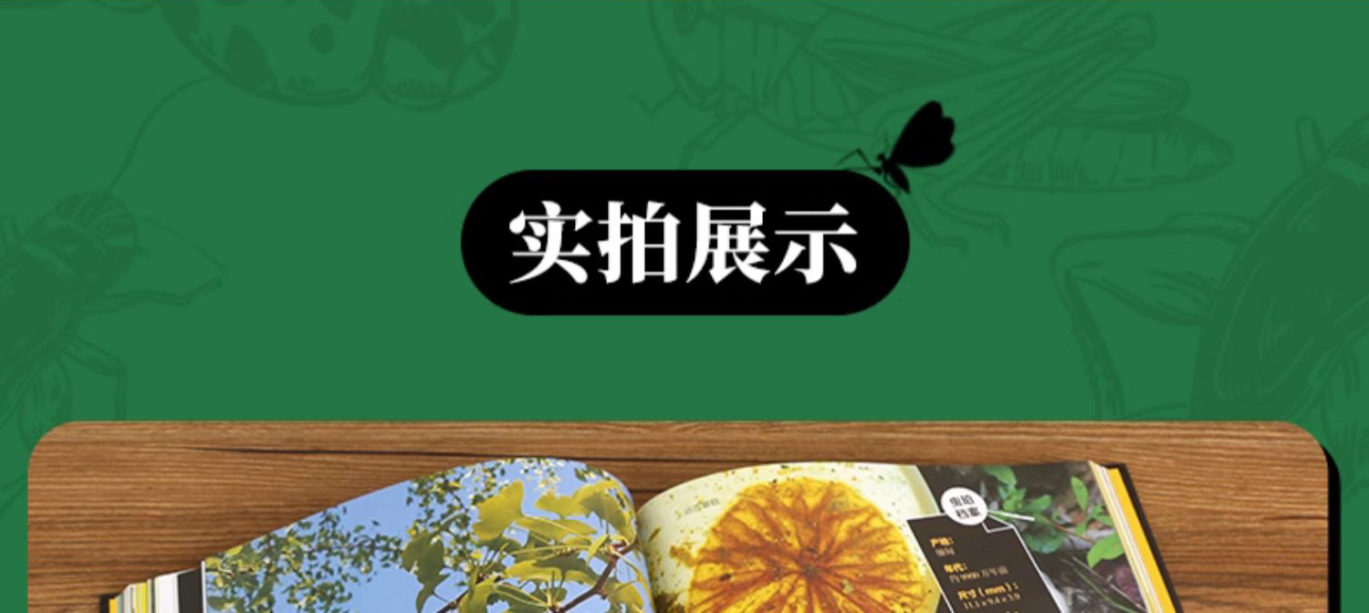 详情-14.jpg