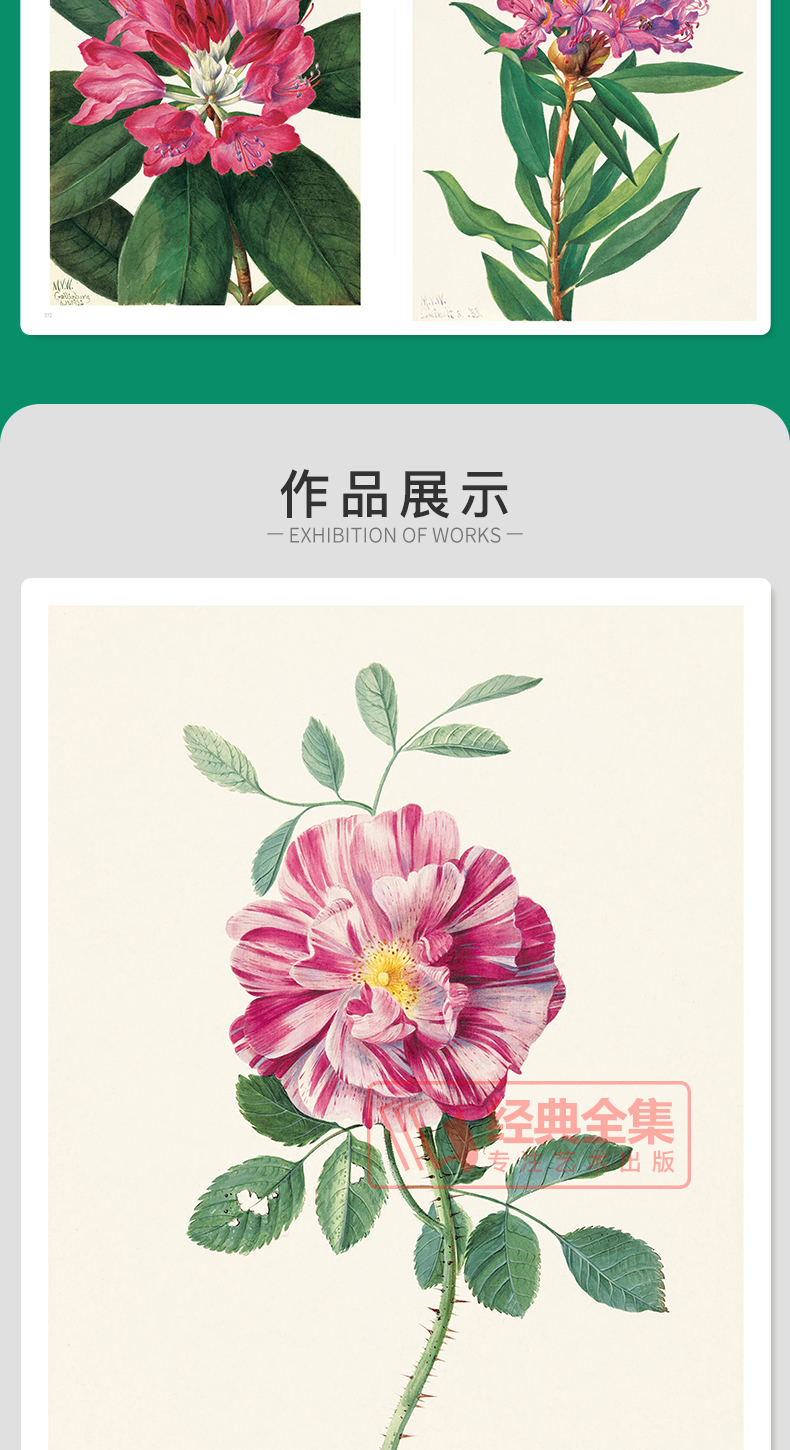 详情7.jpg