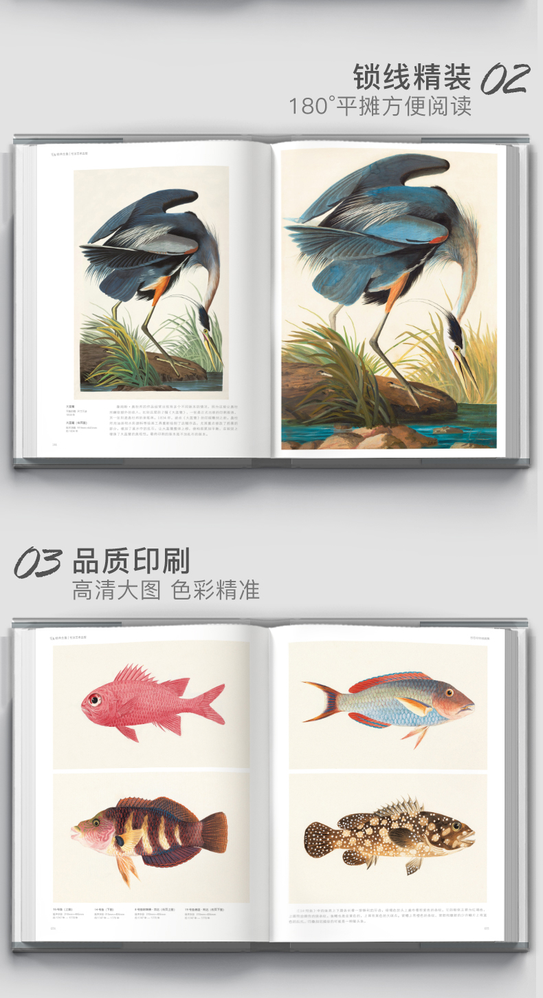 详情24.jpg